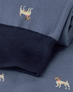 Socks<Charles Tyrwhitt Dog Socks - Steel Blue