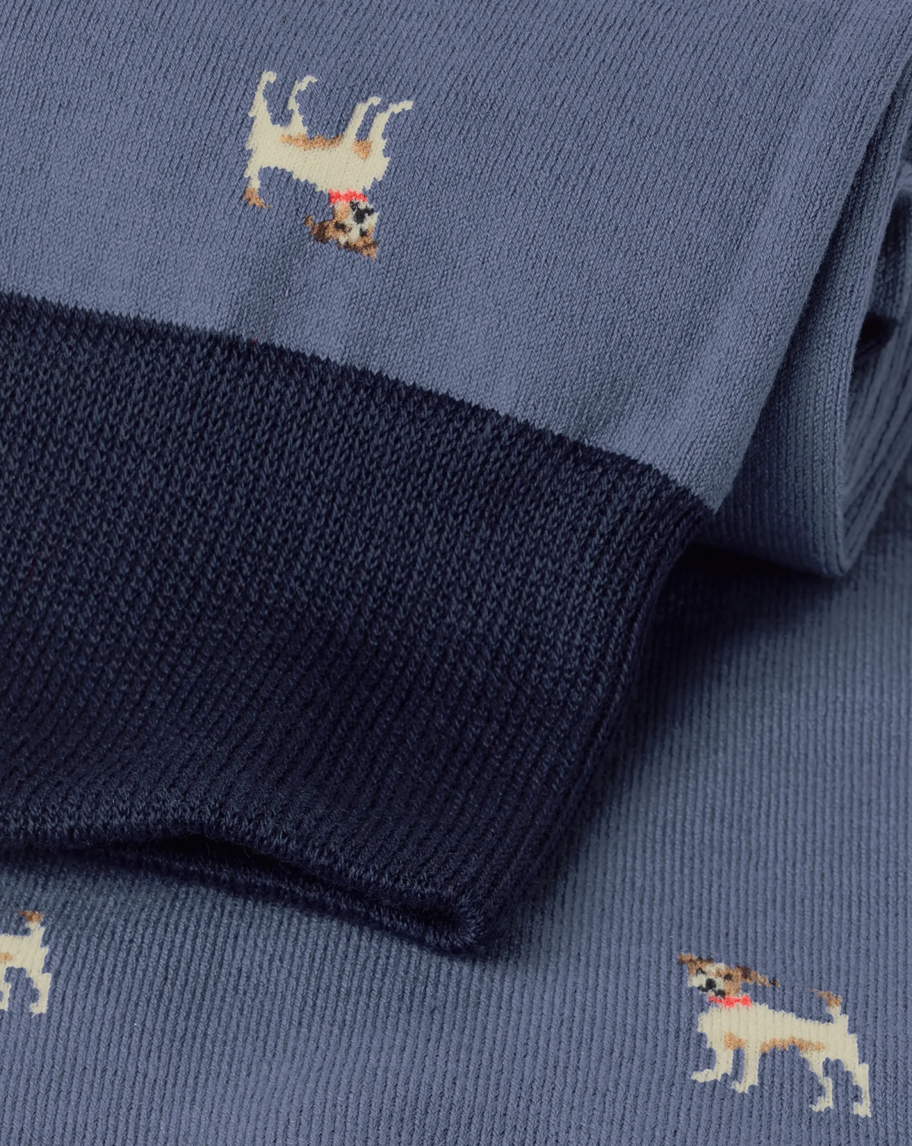 Socks<Charles Tyrwhitt Dog Socks - Steel Blue