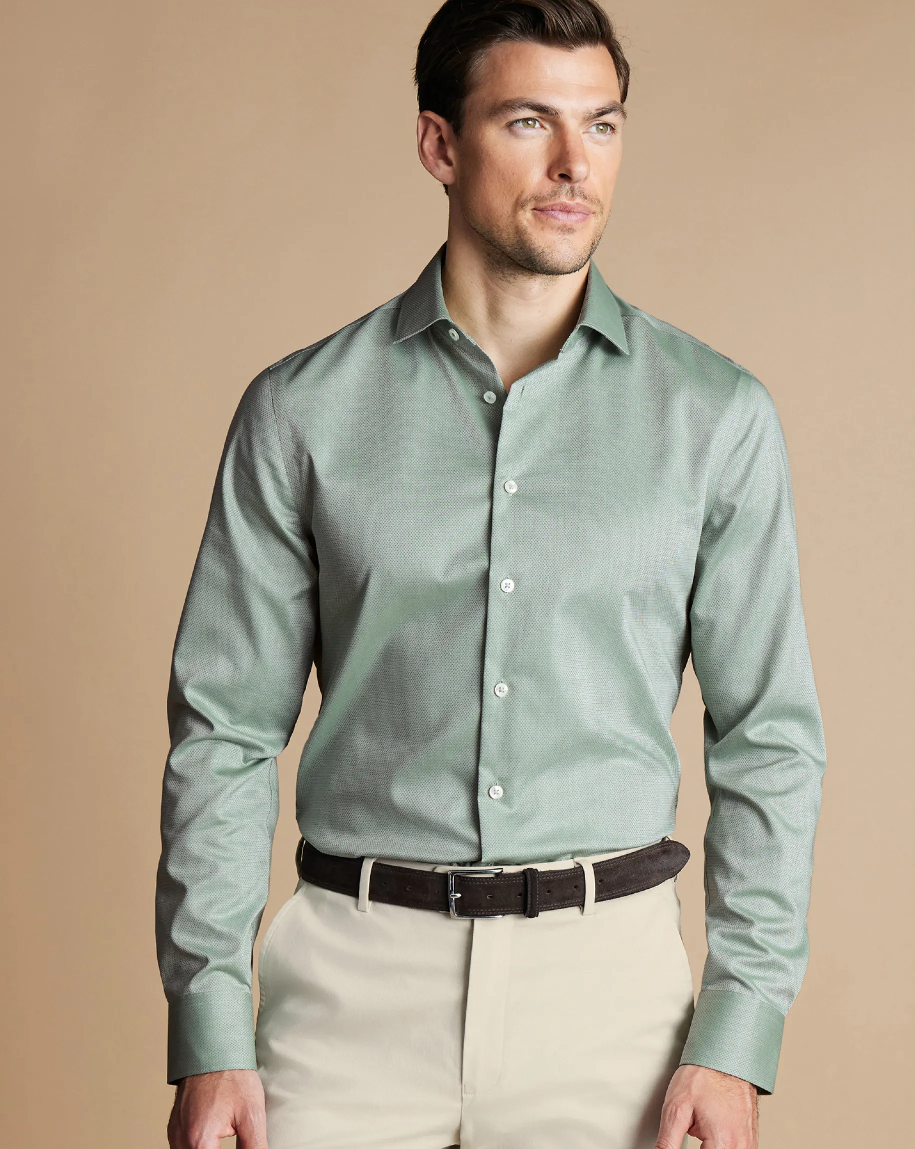Business Casual Shirts|Dress Shirts<Charles Tyrwhitt Non-Iron Stretch Texture Shirt - Light Green