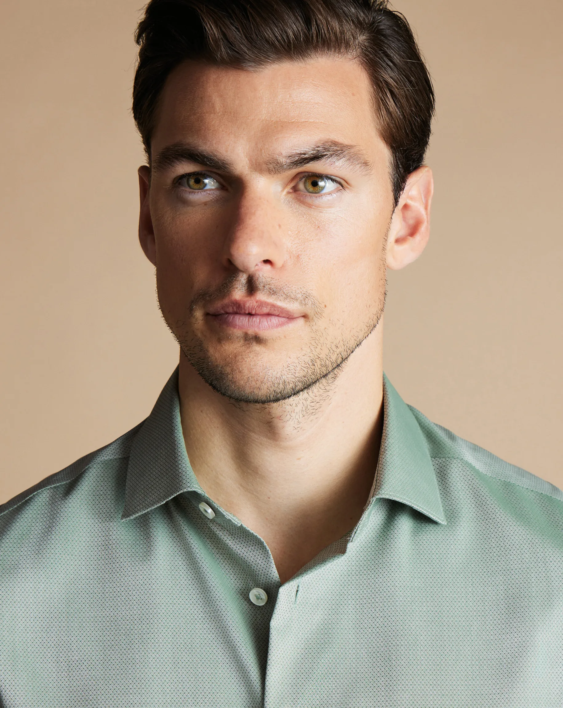 Business Casual Shirts|Dress Shirts<Charles Tyrwhitt Non-Iron Stretch Texture Shirt - Light Green